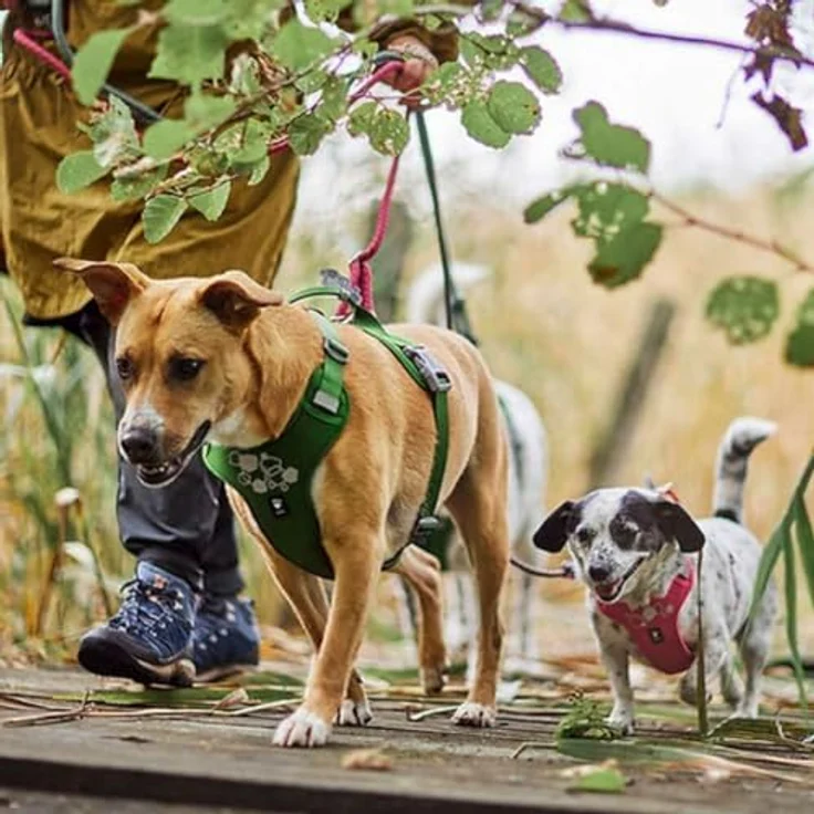 Hurtta Weekend Warrior Hundegeschirr II, braun, 45-60 cm, mit stabilen Sicherheitsgriff, verstellbaren Gurten und reflektierenden Details – Bild 7