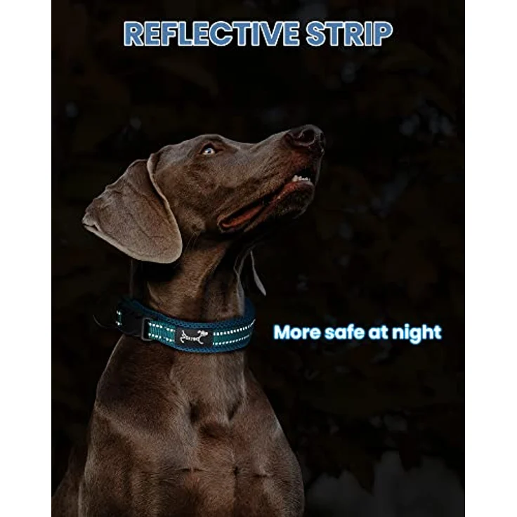 PETTOM Hundehalsband, Verstellbares Nylon-Hunde Halsband, Atmungsaktiv und Reflektierend, Blau, Größe M – Bild 5