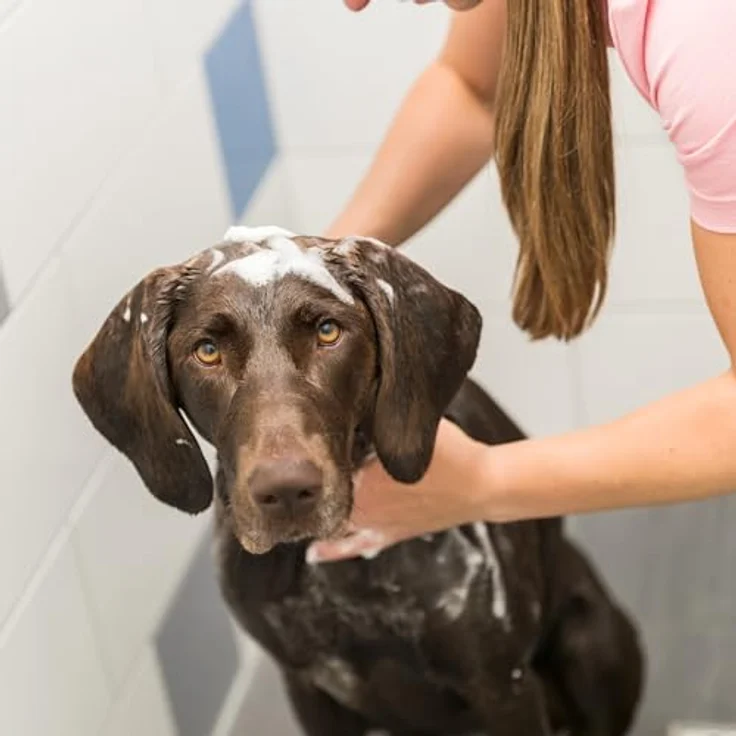 Trixie Aloe Vera-Shampoo für Hunde 250 ml – Bild 3