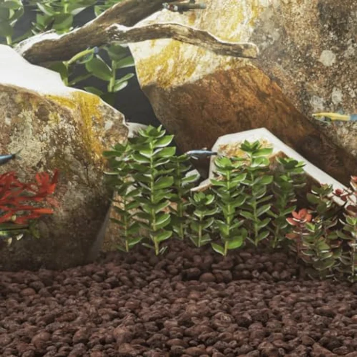 vidaXL Aquariendeko Lavagranulat, 25 kg rotes Vulkangestein, 5-8 cm, biologischer Filter für Aquarien – Bild 2