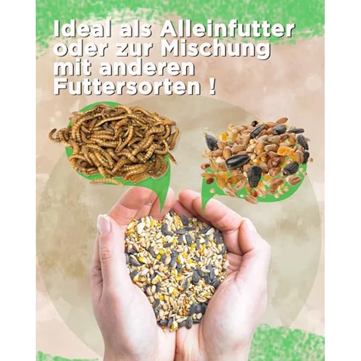 Futterbauer 10 kg Geschälte Sonnenblumenkerne für Vögel, 100% Natur, Nährstoffreiche Energiequelle, Ohne Schalen, Frisch & Hochwertig, Ernte 2025 – Bild 4