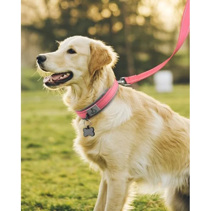 Joytale Hundehalsband, Neopren gepolstert, reflektierend, für große Hunde, breit, pink – Bild 3