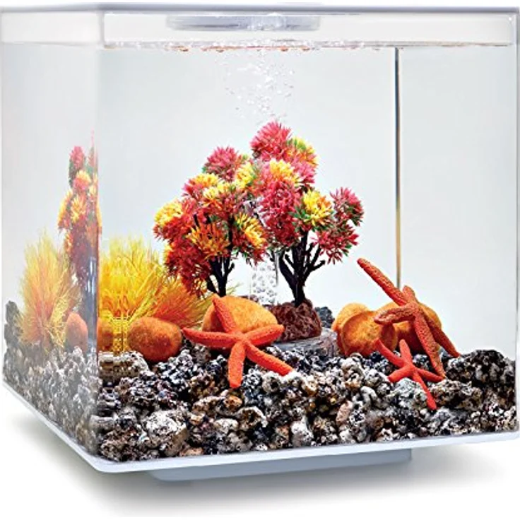 biOrb Decor Set 15L Herbst (55024) – Bild 3