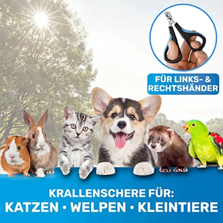 BluePet Mini Krallenschere, kleiner Nagelschneider für Katzen, Hunde, Kaninchen & Welpen, sicher und schmerzfrei, präziser Schnitt – Bild 4