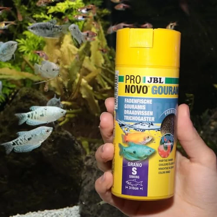 JBL PRONOVO GOURAMI GRANO, Hauptfutter-Granulat für Guramis, Fadenfische und Labyrinther, Größe S, 250 ml, mit präbiotischen Ballaststoffen und natürlichem Astaxanthin – Bild 4