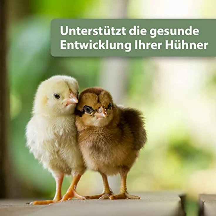 Quiko Med Immun für Hühner, 100ml Hühner Vitamine mit hochwertigem Oregano-Öl, zur Unterstützung der gesunden Entwicklung, Made in Germany – Bild 4