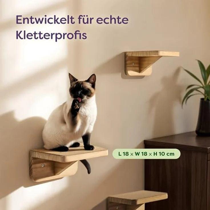 Niboline Knupis Kletterwand Katzen Set, 3er Katzentreppe aus FSC® Kiefernholz, stabil bis 30 kg, beige – Bild 3