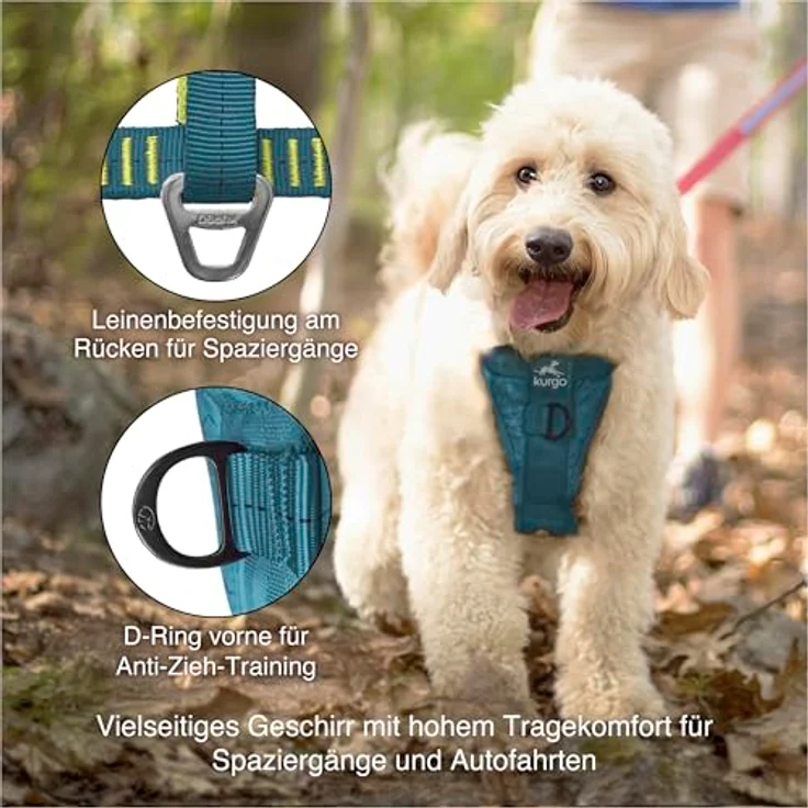 Kurgo Enhanced Strength Tru-Fit Hundegeschirr, Crash-Test-zertifiziertes Sicherheitsgeschirr mit fünf Verstellpunkten und gepolsterter Brustpartie, Tintenblau, Größe S – Bild 3