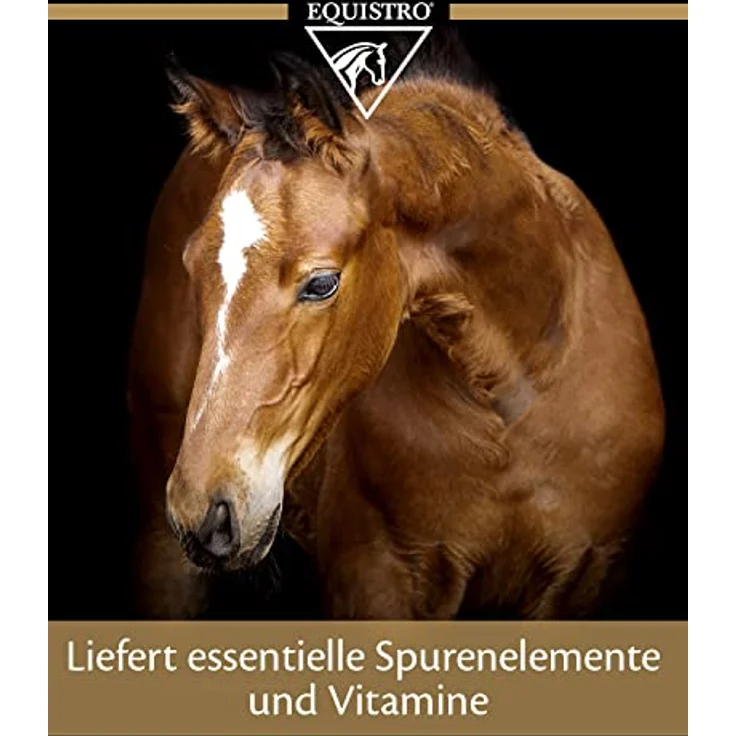 EQUISTRO® Ipaligo Foal, Ergänzungsfuttermittel für Fohlen mit essentiellen Vitaminen, Mineralstoffen & Aminosäuren, 3x14g – Bild 4
