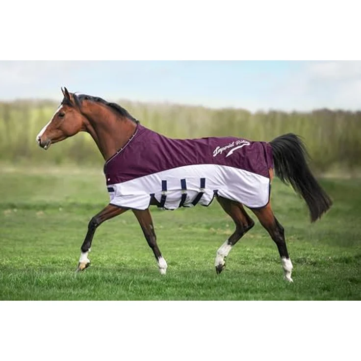 Imperial Riding IRHSuper-Dry 2-in-1-Regen- & Fliegendecke ohne Halsteil, wasserabweisend, atmungsaktives Mesh, mit Bauchklappe, Bordeaux, 115 – Bild 3