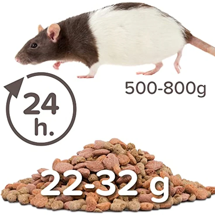 beaphar Care+ Rat 700gr, ausgewogenes Kleintierfutter für Ratten – Bild 5