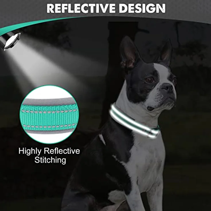 Joytale Gepolstertes Neopren Hundehalsband, Reflektierend, für Mittelgroße Hunde, Breit, Türkis – Bild 4