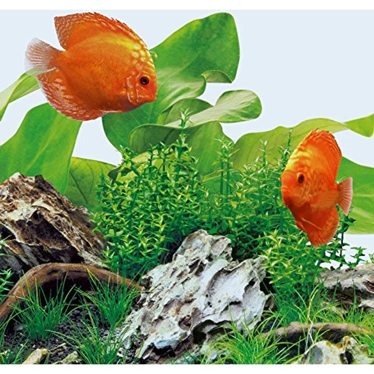 Juwel Aquarium LED Day, energiesparende Aquariumbeleuchtung mit 19 W und pflanzenförderndem Licht – Bild 3