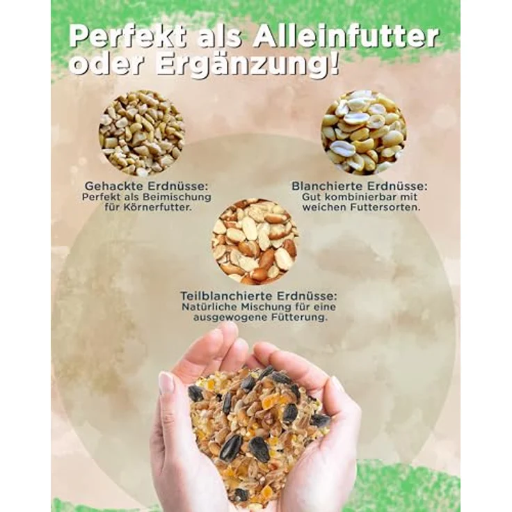 Futterbauer Erdnüsse blanchiert, 10 kg weiße & schalenlose Erdnusskerne für Wildvögel & Eichhörnchen, hochwertiges Vogelfutter, Ambrosia kontrolliert – Bild 5