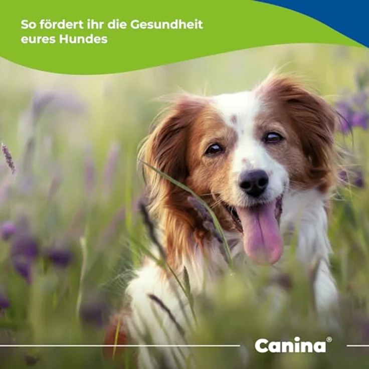 Canina Caniletten, 300 g, biologisches Kraftkonzentrat mit Spurenelementen, Mineralien und wichtigen Vitaminen für Hunde – Bild 4
