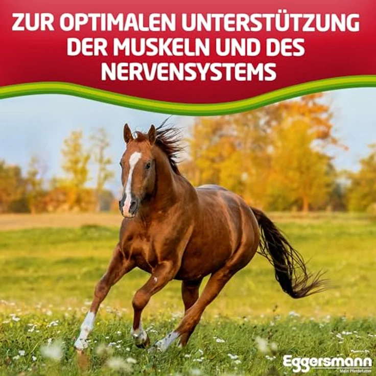 Eggersmann Mein Pferdefutter Profi Magnesium 4 kg – Ergänzungsfuttermittel zur Unterstützung der Muskulatur & Entspannung mit Magnesium, Tryptophan und B-Vitaminen – Bild 4