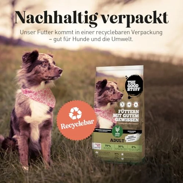 The Goodstuff Minis Adult Huhn, Hunde-Trockenfutter mit hohem Fleischanteil, 1kg – Bild 8