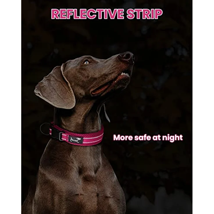 PETTOM Hundehalsband, verstellbares Nylonhalsband mit atmungsaktivem Mesh und reflektierendem Design, rosa, Größe M – Bild 5