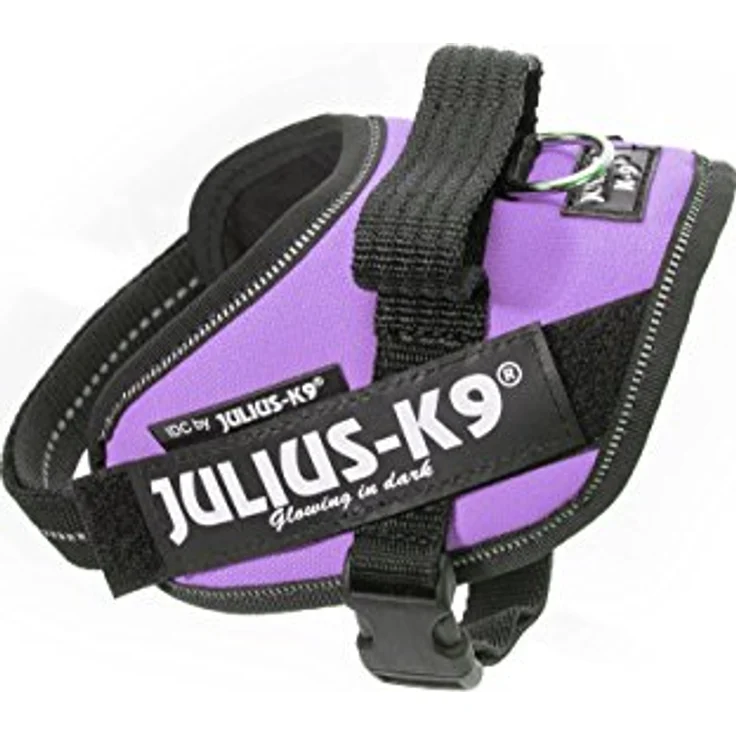 Julius-K9 K9 IDC sele, str.: Mini, Halsband + Leine, Größe 49-67 cm, lila – Bild 2