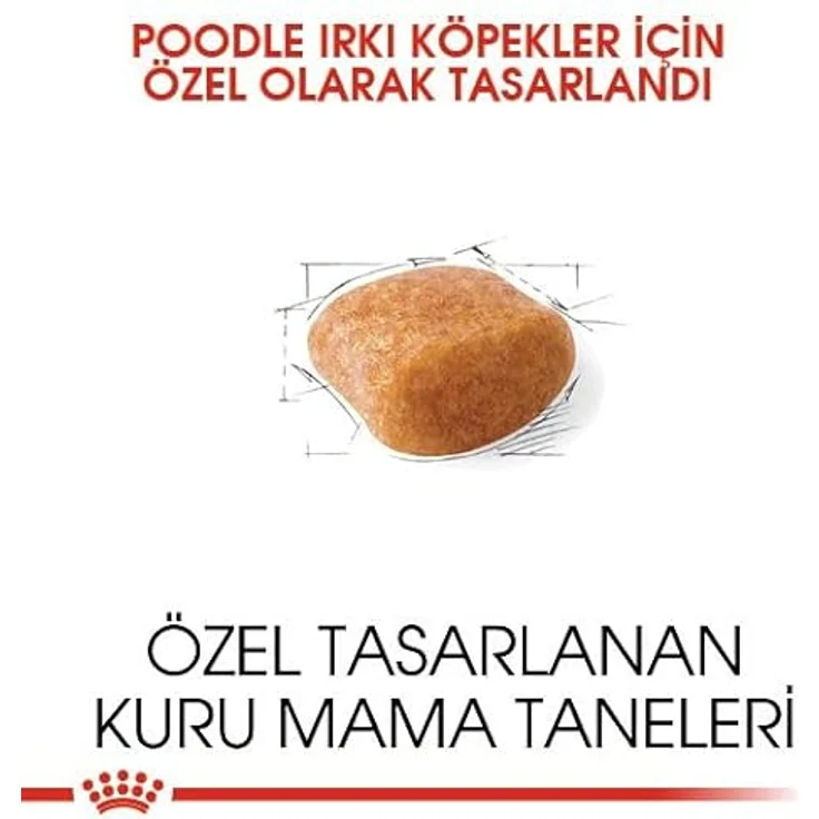 Royal Canin Poodle Adult, 3 kg Trockenfutter für ausgewachsene Pudel, Unterstützung von Fell und Muskeltonus, für Hunde ab dem 10. Lebensmonat – Bild 5