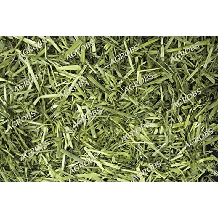 Agrobs Grüner Hafer 150g, schmackhaftes Kleintierfutter mit hohem Rohfaseranteil, niedrigem Stärke- und Zuckeranteil – Bild 2