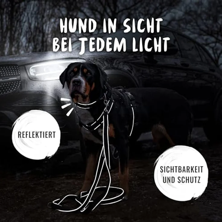 Rudelkönig Hundehalsband Paola, Verstellbares refl. Nylonhalsband für kleine Hunde und Welpen, schwarz – Bild 4