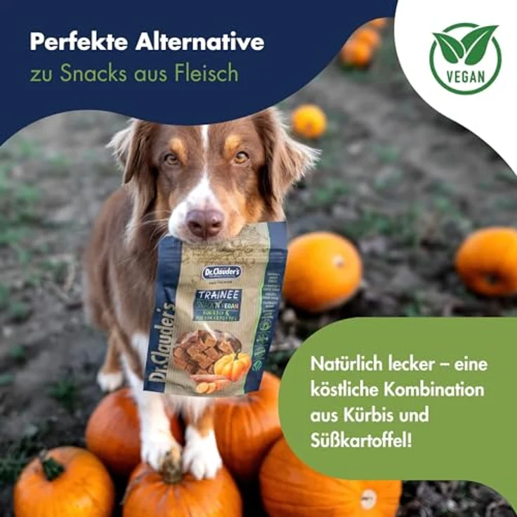 Dr.Clauder's Trainee Snack Vegan Kürbis & Süßkartoffel, proteinreiche, getreidefreie Hundesnacks mit Erdnussbutter, 80g Frischebeutel – Bild 5