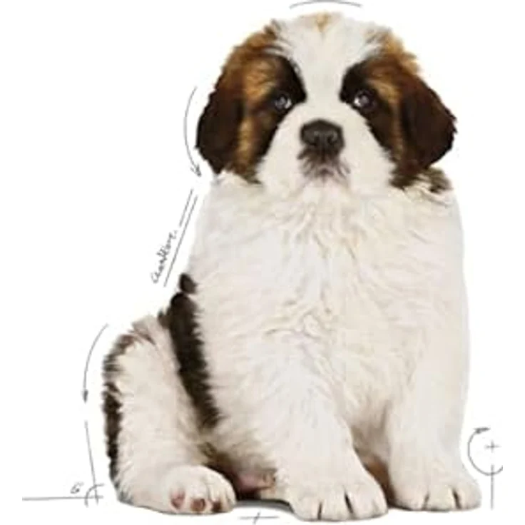 Royal Canin GIANT Puppy, Trockenfutter für sehr große Welpen (Endgewicht über 45 kg), 3,5 kg – Bild 4