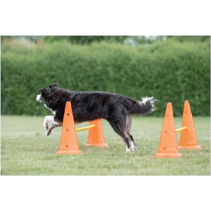 Trixie 32091 Dog Activity Hindernisse, Agility-Set mit 3 variablen Hindernissen, ø 23 × 30 cm/78 cm, robust in orange/gelb – Bild 3