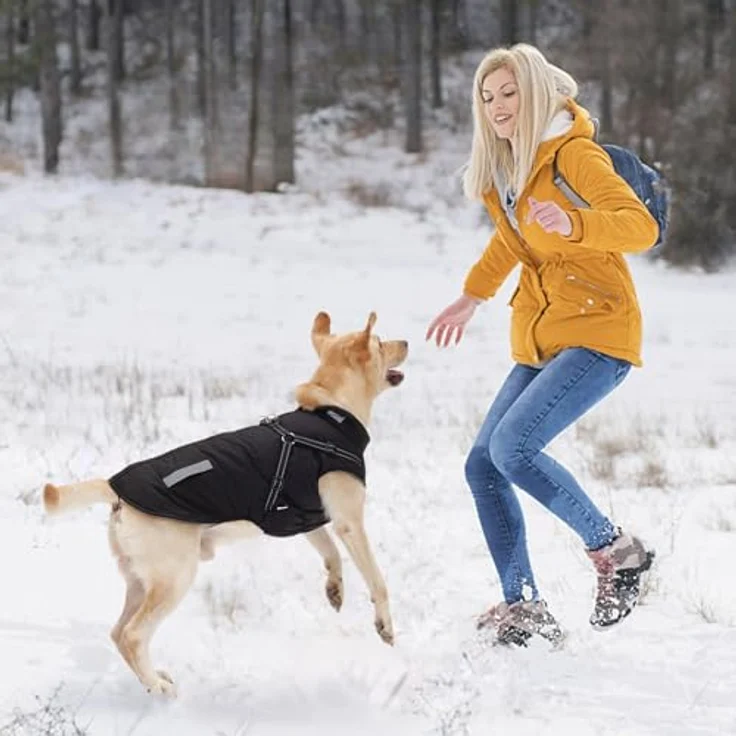 Aisuowa Hundemantel, Winter Hundejacke Wasserdicht und Winddicht mit Bauchschutz, Fleece gefüttert, Reflektierend, für kleine, mittlere und große Hunde – Bild 5