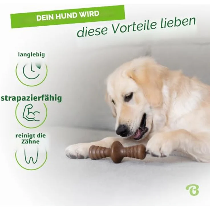 Benebone Zaggler Rollendes Kauspielzeug für Hunde, echter Speckgeschmack, Größe Large, strapazierfähiges Nylon – Bild 3