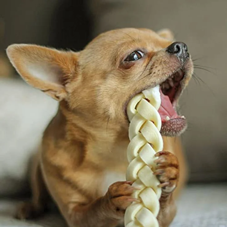 Schecker DOGREFORM Kauzöpfe 1 kg, Zahnpflege-Snacks für Hunde, 58 Stück, 4 x 250g, natürlich ohne Farbstoffe und Konservierungsstoffe – Bild 3