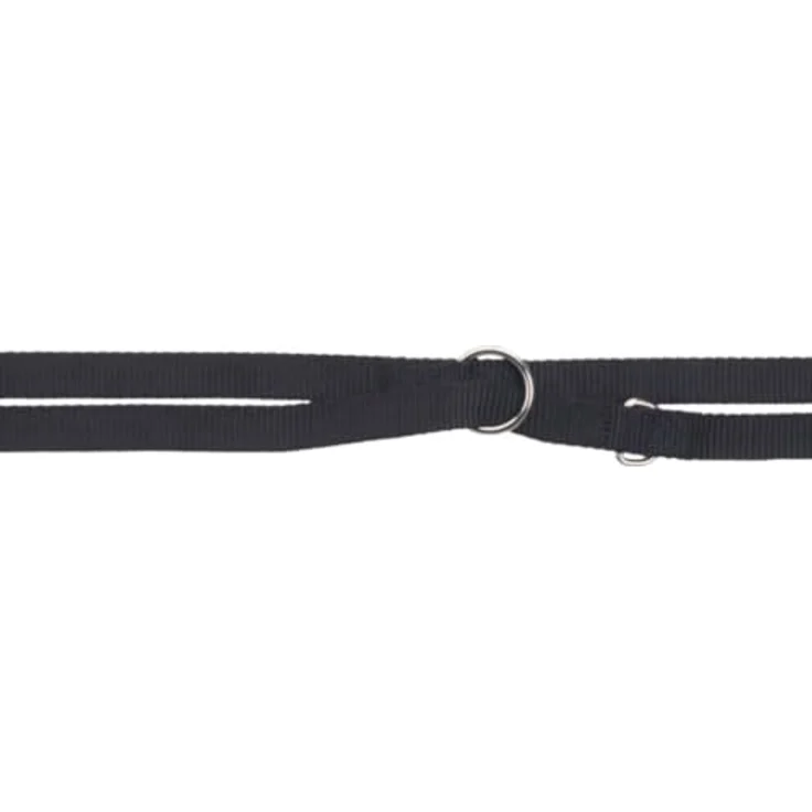TRIXIE Hundeleine Premium M–L, 2,00 m, 20 mm, schwarz - verstellbare Leine mit belastbarem Gurtband für mittelgroße bis große Hunde - 200501 – Bild 3