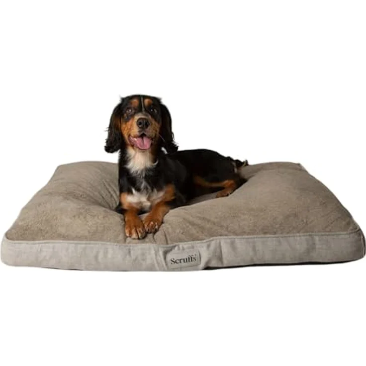 Scruffs Harvard Memory Foam Orthopädische Hundematratze für Hunde mit Gelenkschmerzen (XL), wasserfest, grau – Bild 1
