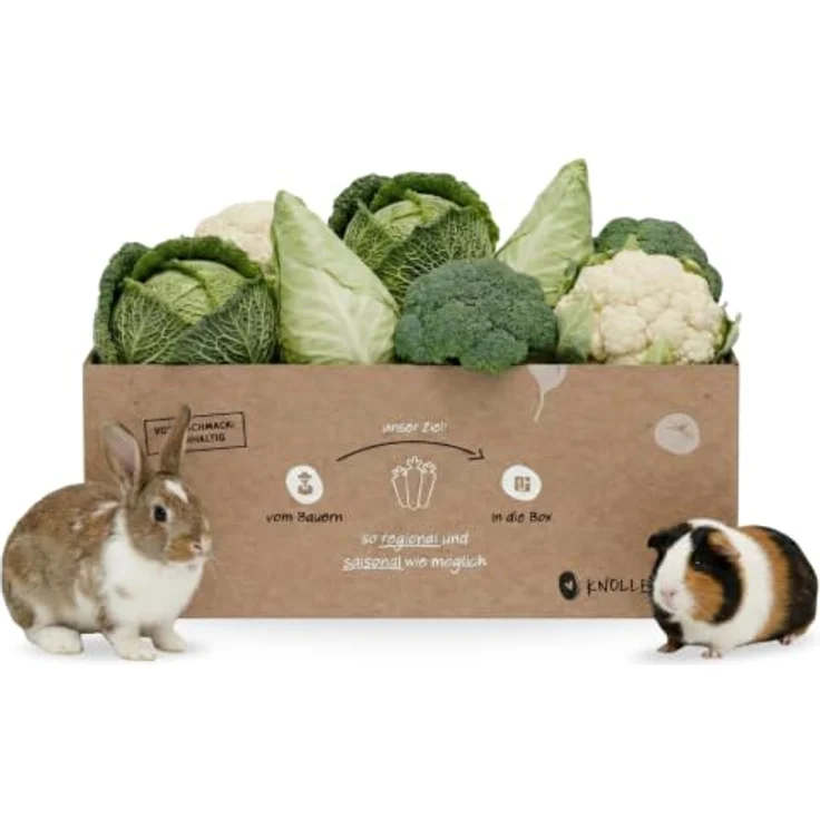 Knollenliebe Kohl-Lover Kleintierbox 5 kg, Frisches Gemüse-Mix für Kaninchen und Meerschweinchen mit Wirsing, Chinakohl, Brokkoli und Kohlrabi-Blättern – Bild 1
