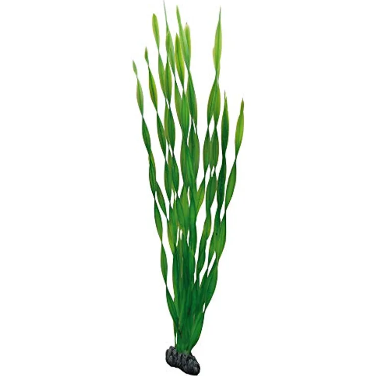 HOBBY Aquariendeko Vallisneria, 60 cm Kunststoffpflanze mit natürlichem Look für Aquarien