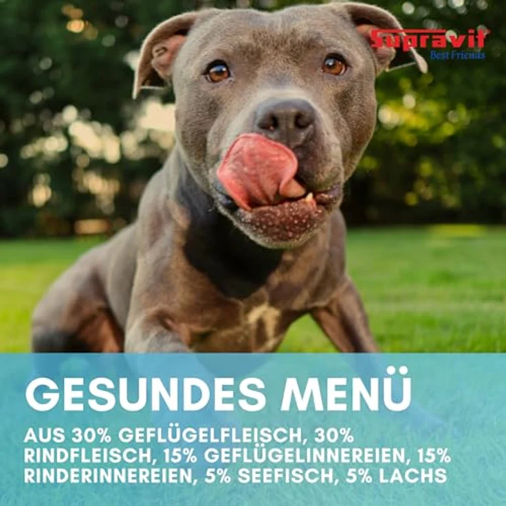 Supravit Nassfutter für Hunde, getreidefrei & ohne Soja, mit Fisch & Lachs, 12 x 410g Dosen – Bild 4