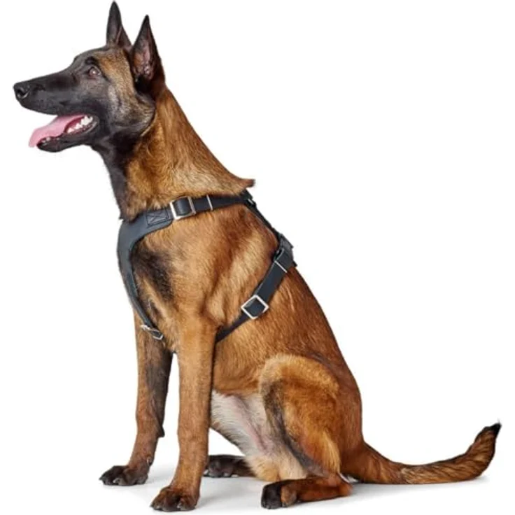 Hunter Hunde-Geschirr Aalborg schwarz S-M 1 – Bild 5
