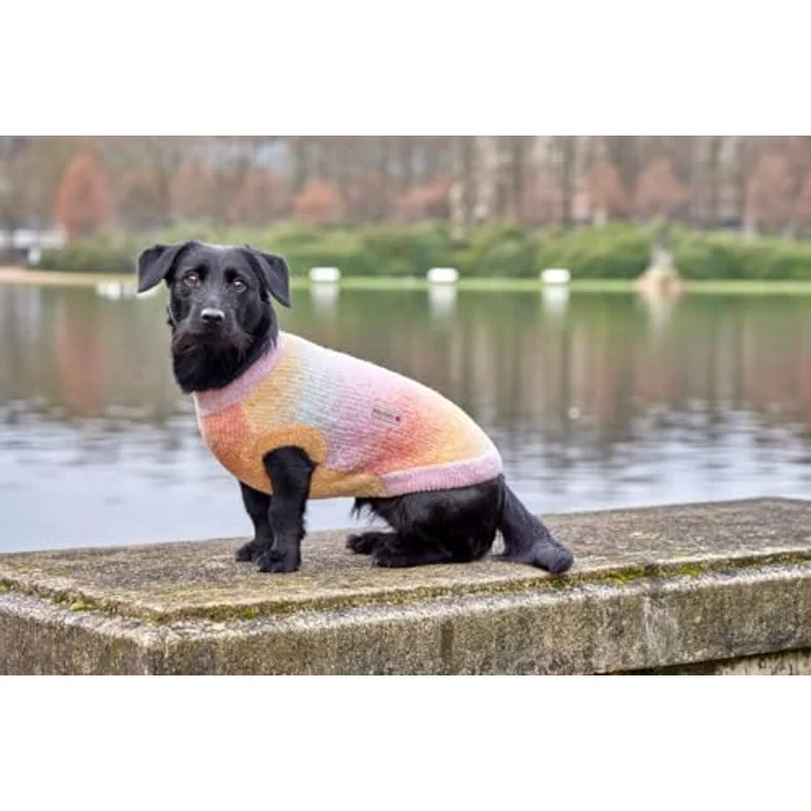 WOLTERS Strickpullover Sunset, Hundebekleidung in Orange – Bild 3