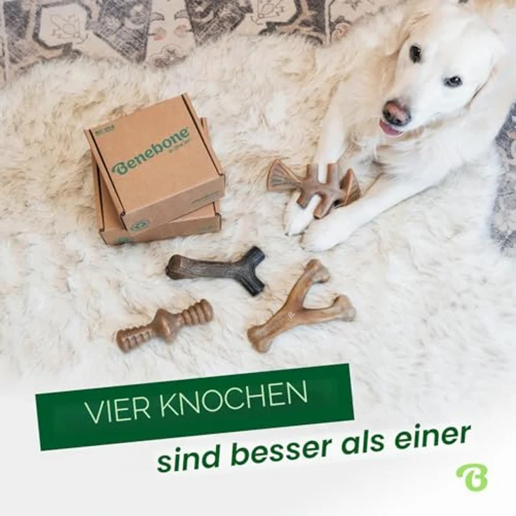 Benebone L 4er-Pack Kauspielzeuge für aggressive Kauer bis 90 lbs, mit Speck, Ahorn, Zaggler und Lachs-Aromen – Bild 5