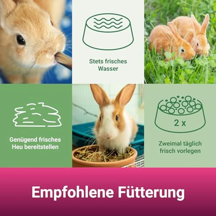 PANTO® Zwergkaninchenfutter, 25 kg Mischung mit Getreide, Pellets, Möhrenstücken und Johannisbrot, reich an Vitaminen und Mineralstoffen – Bild 4