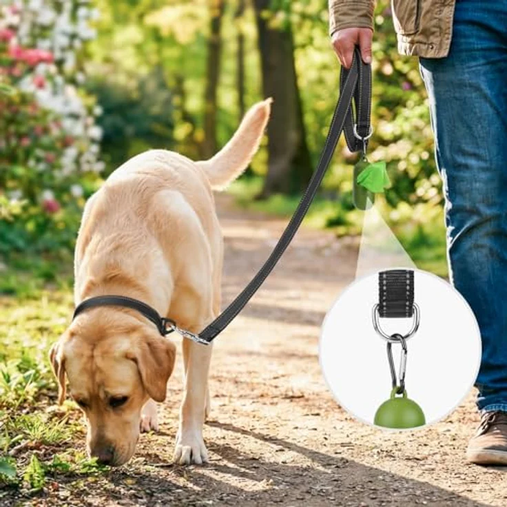 Joytale Hundeleine für Große und Mittelgroße Hunde, Reflektierende Nylonleine mit Gepolstertem Griff, 1,2m x 2,5cm, Schwarz – Bild 2