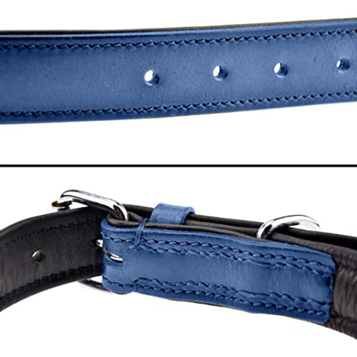 Schnüffelfreunde Lederhalsband für Hunde, handgenähtes, gepolstertes und robustes Hundehalsband in Blau, Größe L (36-45 cm) – Bild 3