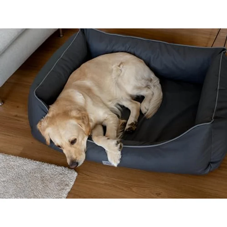 TrendPet Runa, Orthopädisches Kunstlederbett für Hunde mit Memoryfoam Matratze, modisch in Kupfer und Grau (Grau, 100x75x30 cm) – Bild 4