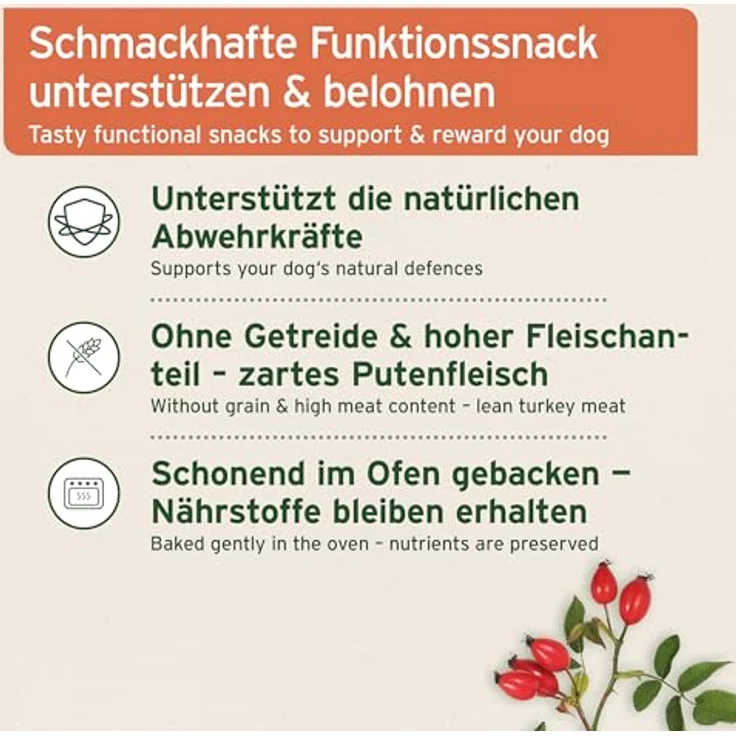 AniForte Immun-Boost Snack 300g für Hunde, natürliche Droppen zur Stärkung des Immunsystems mit Kräutern, Vitamin C, Zink, Protein und Probiotika – Bild 3