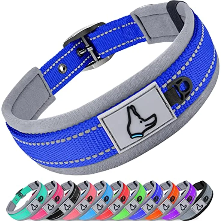 Joytale Hundehalsband, Weiches gepolstertes Neopren-Halsband für kleine Hunde, Reflektierende Nylon-Variante in Königsblau