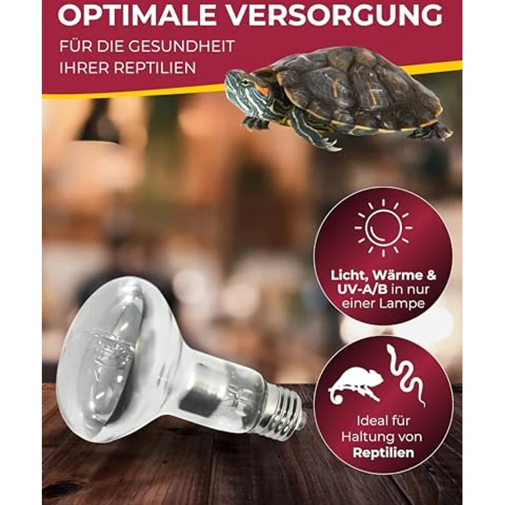 HOBBY Terraristik UV Eco vital, UV-Lampe für Terrarien, 70 W, energieeffiziente Mischlichtlampe mit UVB-Abgabe, langlebig und kosteneffizient – Bild 2