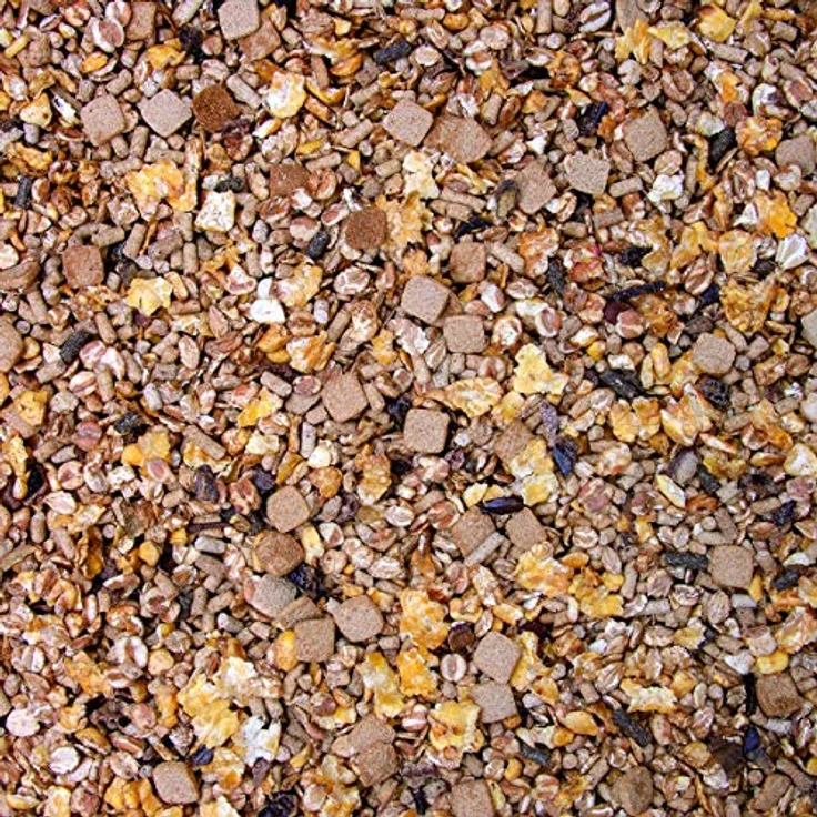 Höveler Original FohlenMüsli, 20 kg, leicht verdaulich und voll vitaminiert für gesunde Fohlenentwicklung