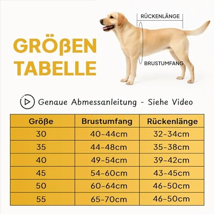 Tierhood Regenmantel Hund, wasserdicht mit integriertem Geschirr, reflektierende Hunderegenjacke für kleine Hunde – Bild 4