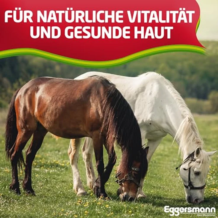 Eggersmann Mein Pferdefutter Profi Haut Kur 1 kg, Konzentrat mit Bierhefe, Kieselgur & Kräutern zur Unterstützung der Hautregeneration & Immunabwehr für Pferde & Ponys – Bild 4